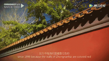 北京的红墙意识了解一下？听外国人老欧怎么说……