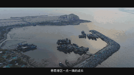 浦东潮事 | 为全国第一个保税港区观风看雨，就是她！