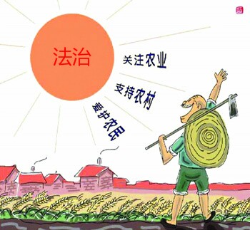 让法治为“三农”问题保驾护航