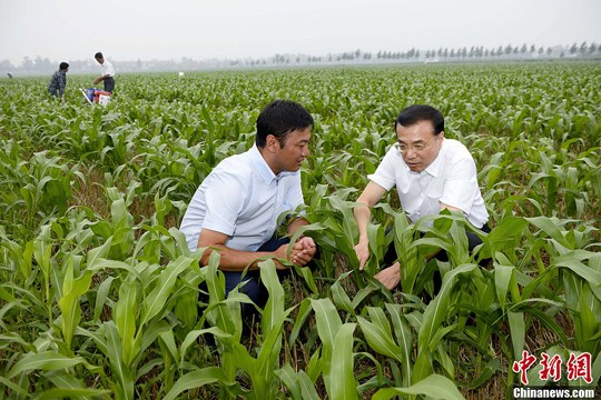 总理看望过的家庭农场主期待丰年