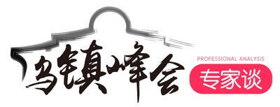 【乌镇峰会专家谈】储殷:互联网大会——全球治理的中国风
