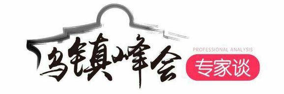 【乌镇峰会专家谈】将“数字丝路”建设成为“平安丝路”