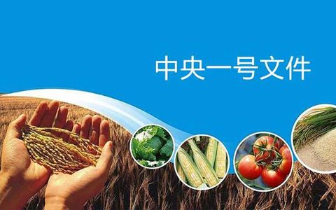 解读中央一号文件：农民是主体“绿色”是发展之路