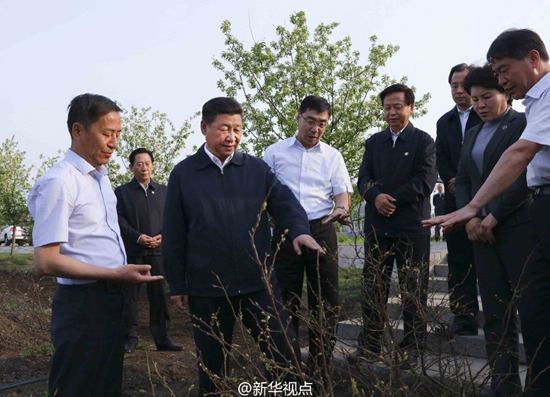 习近平总书记考察黑龙江：林区转型发展 让保护生态和保障民生相辅相成