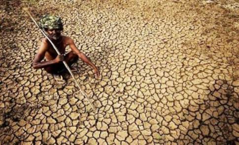 厄尔尼诺或致印度小麦减产 影响全球粮食供应