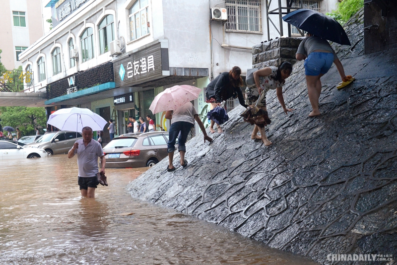 湖南株洲：暴雨袭城