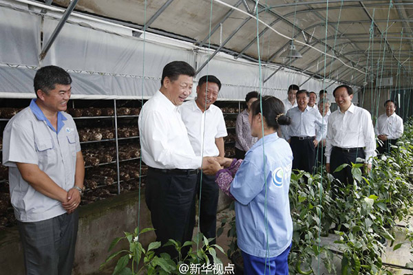 习近平在宁夏考察