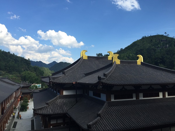 旅游+融合模式全域发展 首届温州文成茶文化旅游节开幕