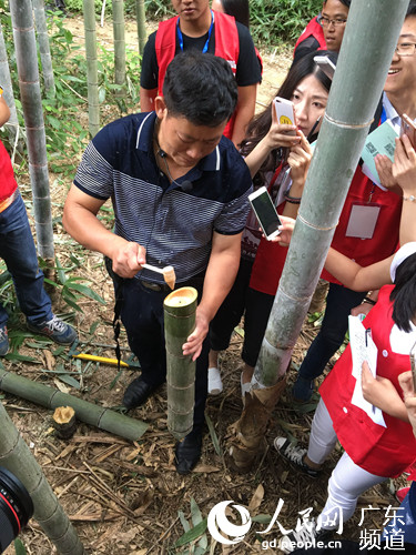 乐昌：逶迤山区靠“互联网+”再现最美梯田