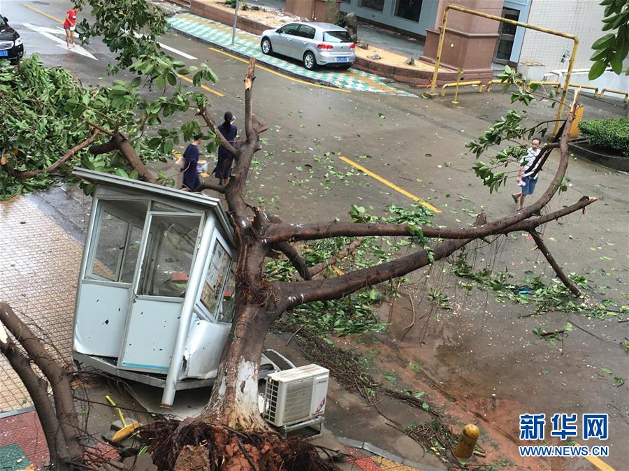 台风“莫兰蒂”在福建厦门登陆