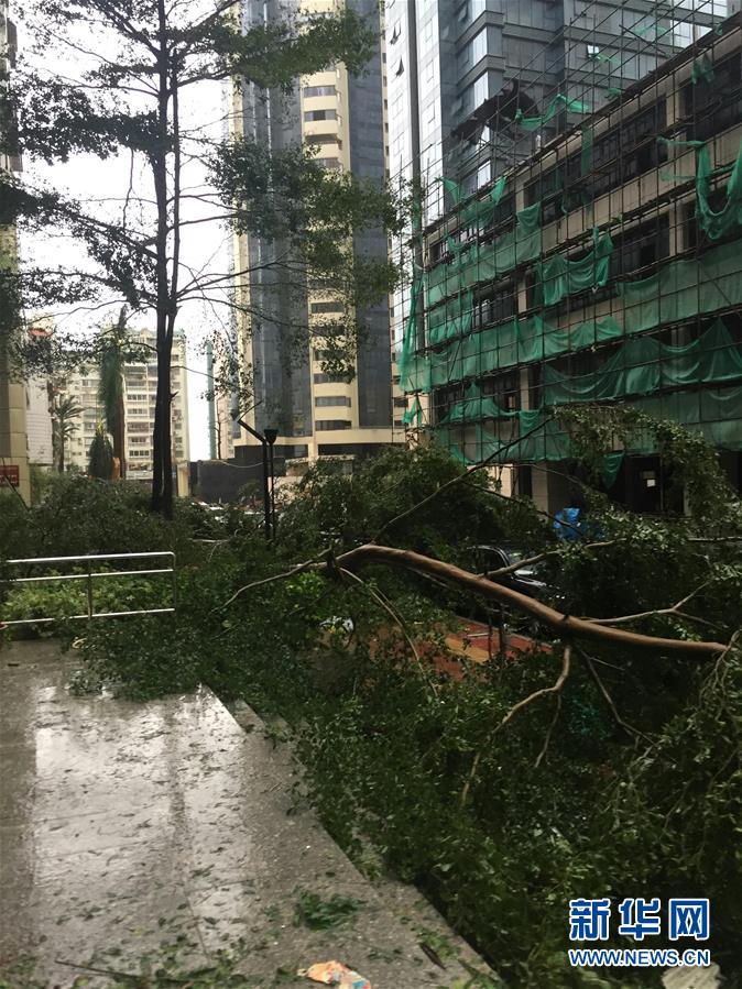台风“莫兰蒂”在福建厦门登陆
