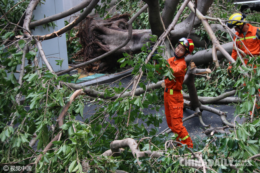 台风“莫兰蒂”过境 福建等地受灾严重