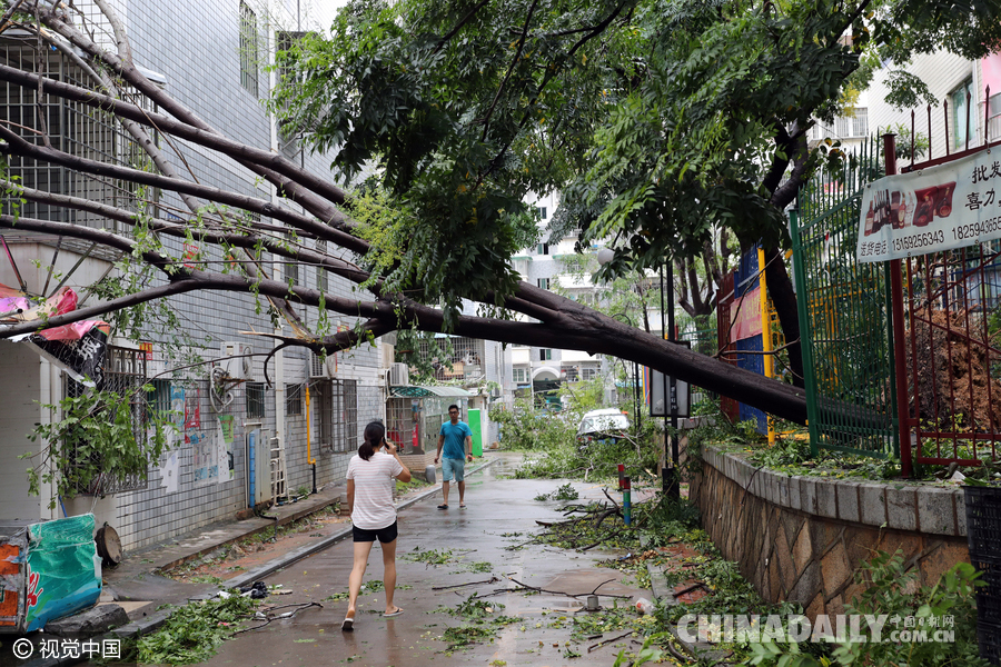 台风“莫兰蒂”过境 福建等地受灾严重