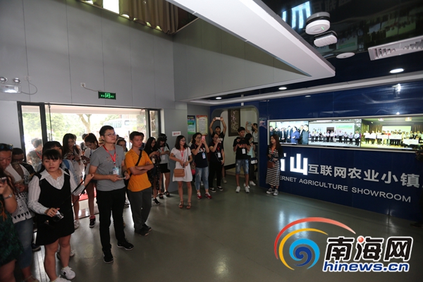 网媒记者走进海口石山镇 赞“互联网+农业”给农民带来增收