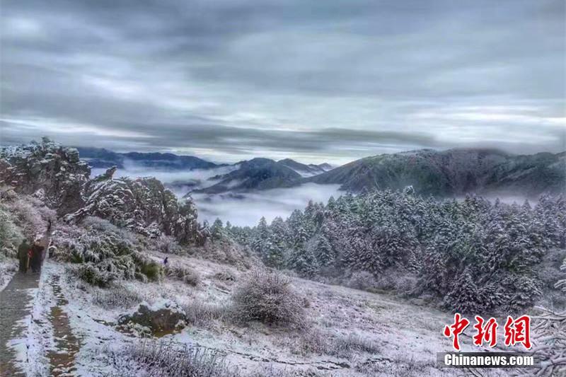 湖北神农架迎大雪 现云海冰雪秋叶组合美景