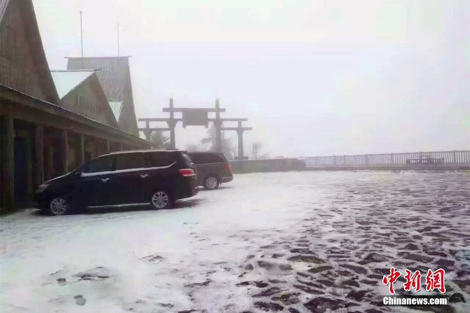 湖北神农架迎大雪 现云海冰雪秋叶组合美景