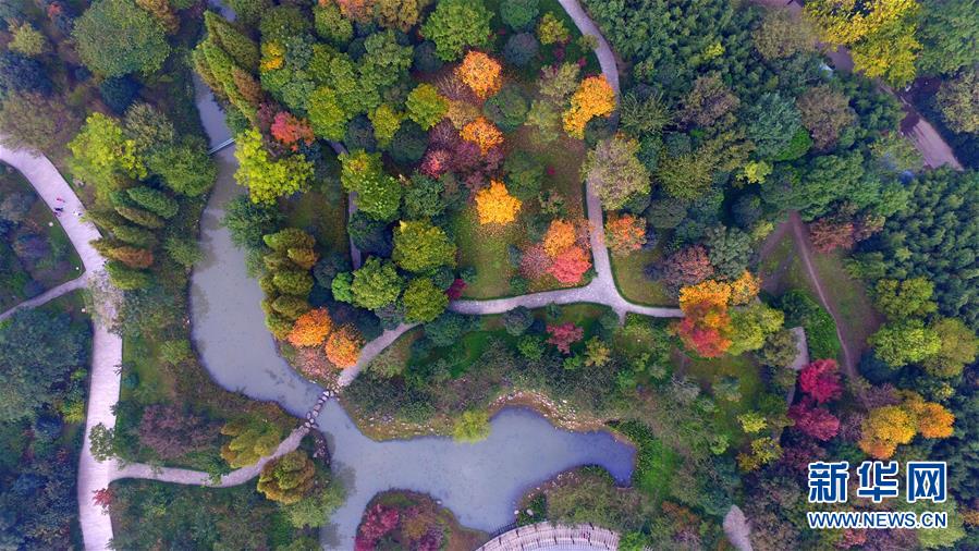 初冬南国秋意浓
