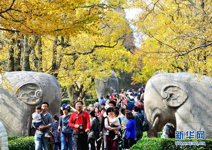 初冬南国秋意浓