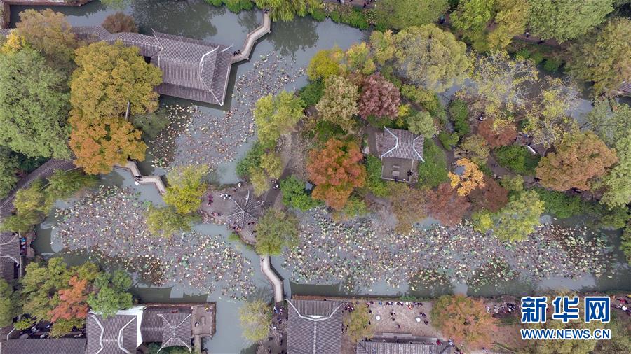 初冬南国秋意浓