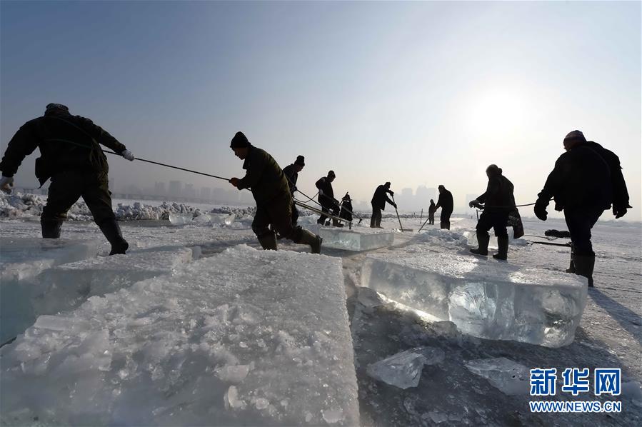 气温降1℃ 人气热1分——黑龙江冰雪旅游搅热“林海雪原”