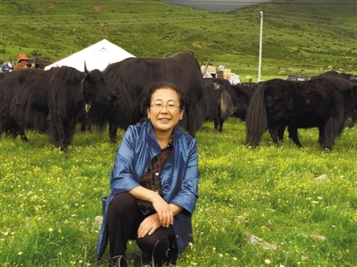 畜牧兽医科技贡献人物姬秋梅博士：力争三五年内开发牦牛基因芯片