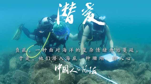 【中国人的活法】潜爱：为恢复海洋生态默默努力的人们