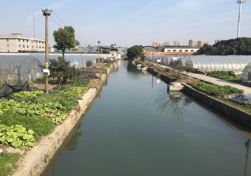 【网络媒体走转改】打造城中村景观河道 杭州江干有了治水新目标