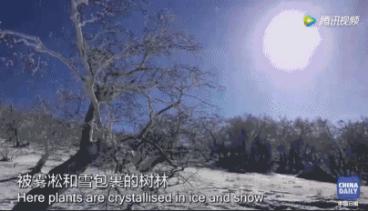 在一年中下雪七个月的地方玩耍，是一种怎样的体验？丨解码中国