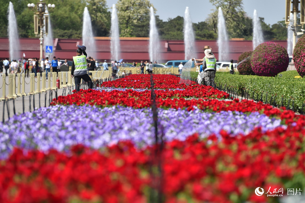 北京天安门广场装扮一新 花团锦簇喜迎“五一”