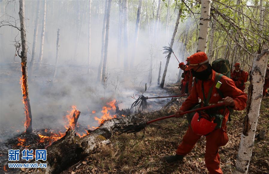 内蒙古那吉林场森林火灾火场东北线明火已扑灭