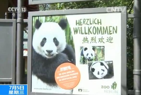 播撒和平友谊种子！“熊猫外交”：中德友谊的生动体现