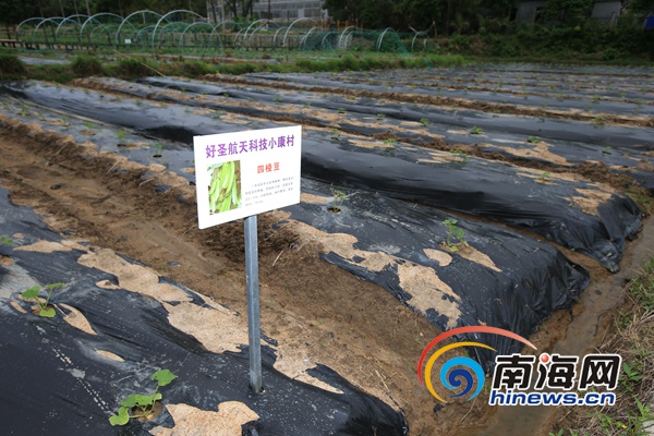 航天旅游让小村美丽蜕变 网媒记者点赞文昌好圣村多彩魅力