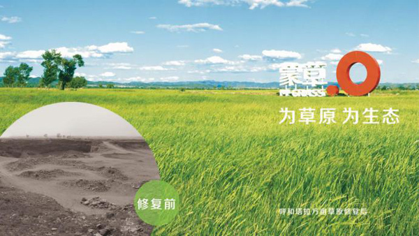 “蒙草生态”为世界生态恢复提供中国解决方案