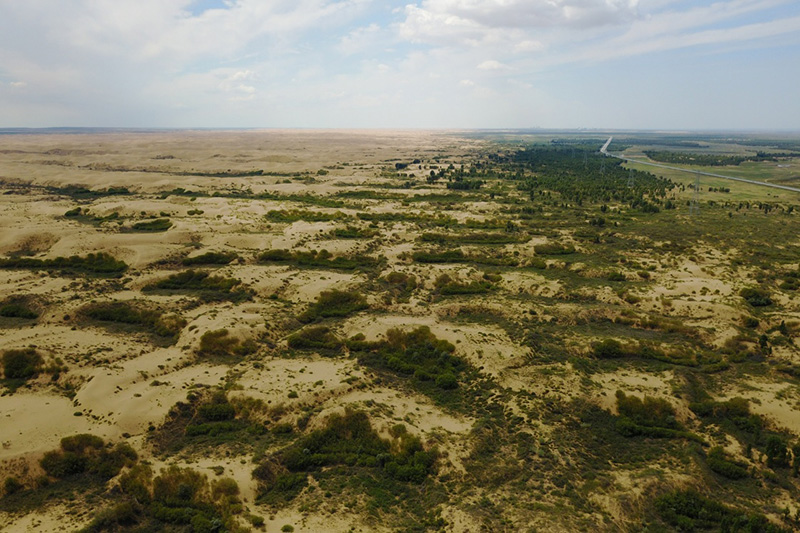 内蒙古初步建成横跨我国三北的生态屏障