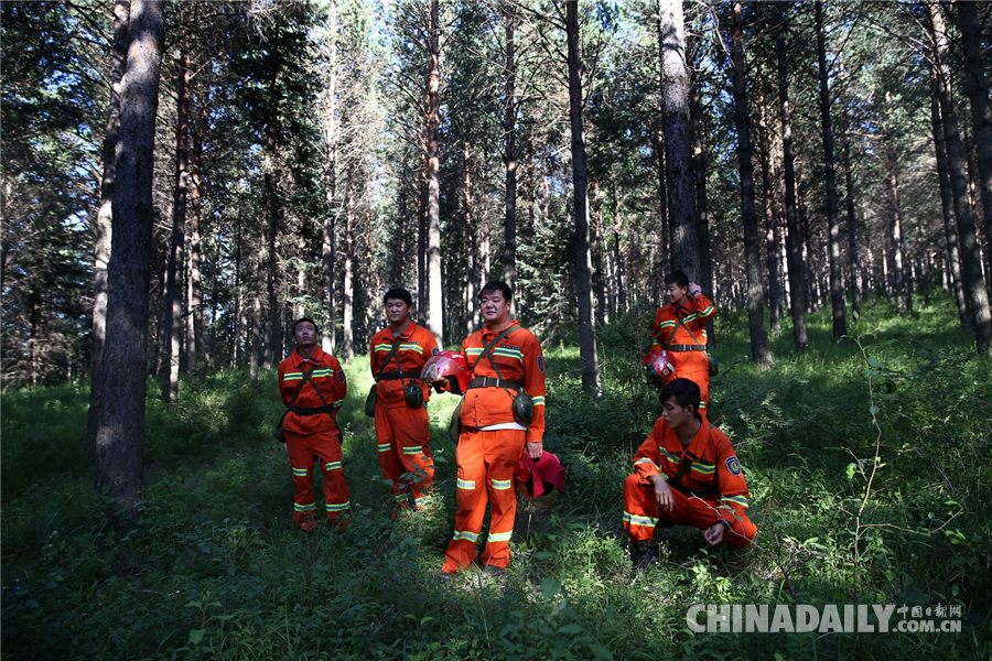 【砥砺奋进的五年•绿色发展】塞罕坝系列报道之一：三代护林员造就的重生之美