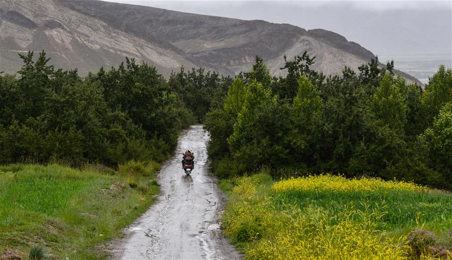 风沙地里“长出”绿色家园——西藏山南隆子县53年造林治沙记