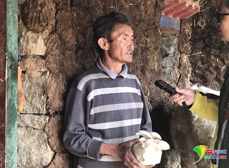 【网络媒体西藏行】推广食用菌种植 日喀则谢通门县产业发展带动扶贫事业