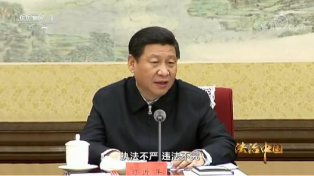 习近平谈依法行政：坚决克服政府职能错位、越位、缺位现象