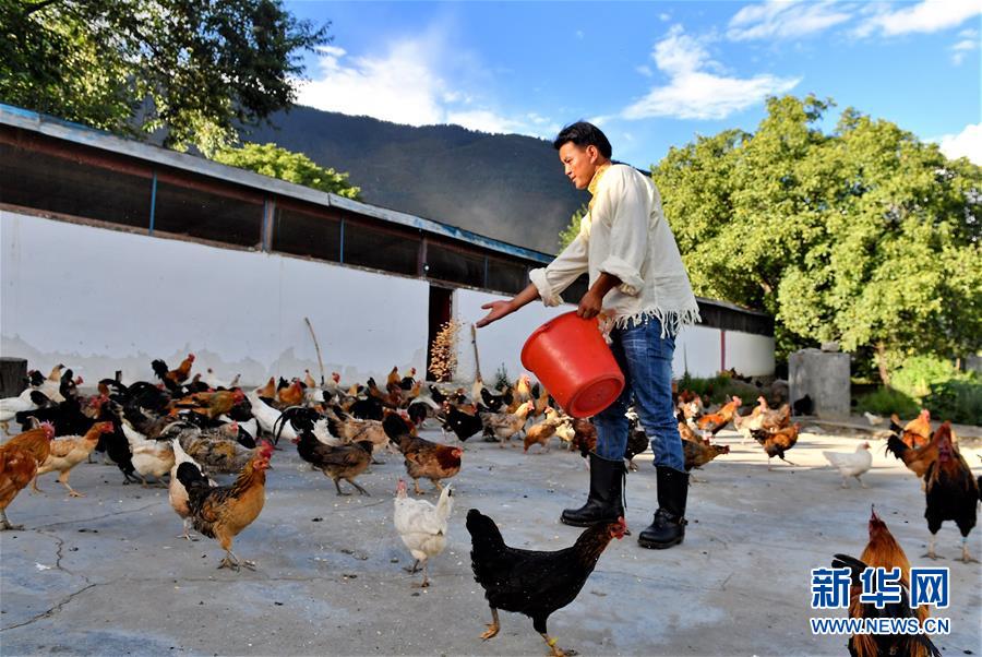 西藏：色果拉村奔小康