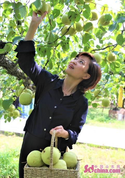 安徽省委宣传部长在中国梨都如此解“气”