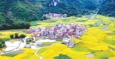绿色焦点·砥砺共建美丽中国①：生态文明建设按下“快进键”
