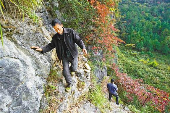 [领航新征程]重庆巫溪悬崖村绝壁上凿出致富路