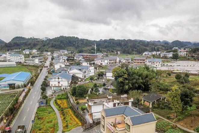 中外学者深入贵州花茂村 感受美丽乡村建设成果