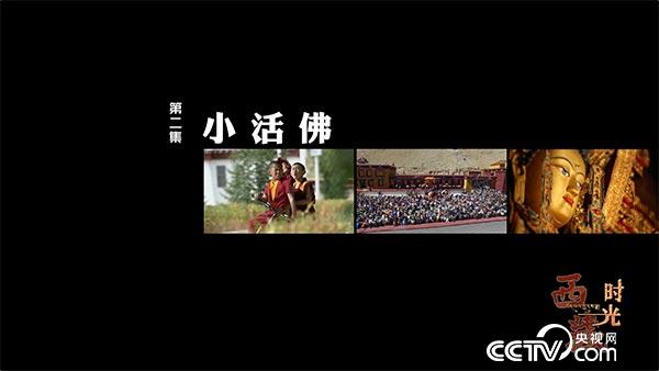 《西藏时光》11月28日播出：第二集《小活佛》