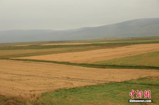 “土地承包新政”下中国北疆农民的“获得感”