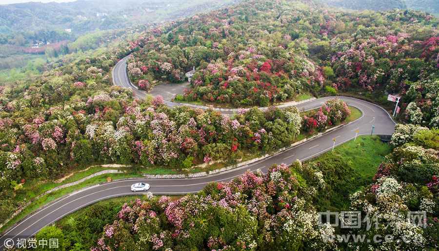 盘点:习总书记指示建设“四好农村路” 看各地乡村公路成一景