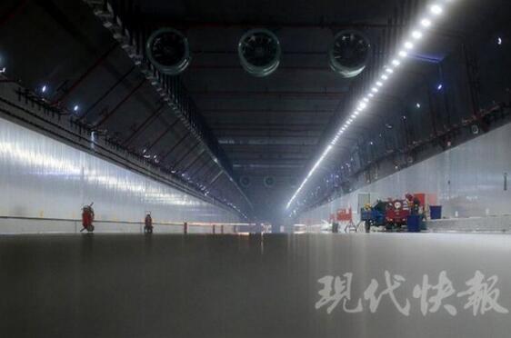 世界之最！碧海蓝天！航拍港珠澳大桥邂逅白海豚
