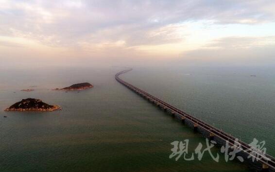 世界之最！碧海蓝天！航拍港珠澳大桥邂逅白海豚
