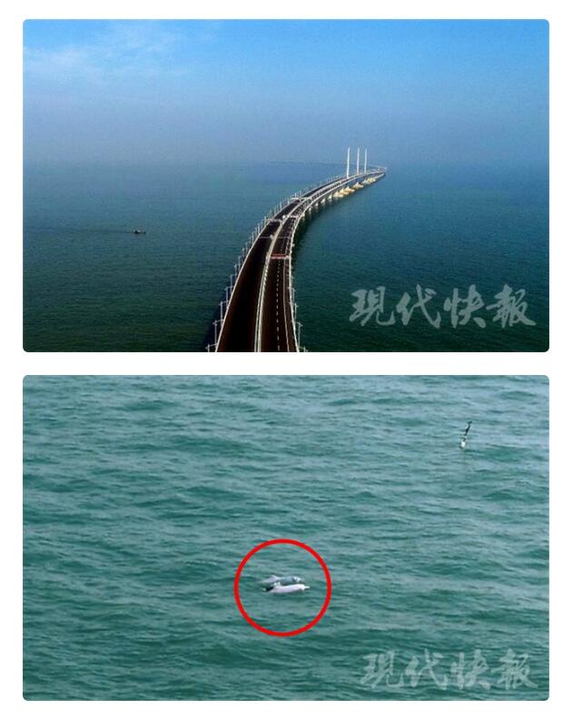 世界之最！碧海蓝天！航拍港珠澳大桥邂逅白海豚