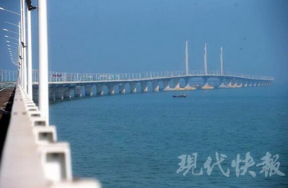 世界之最！碧海蓝天！航拍港珠澳大桥邂逅白海豚